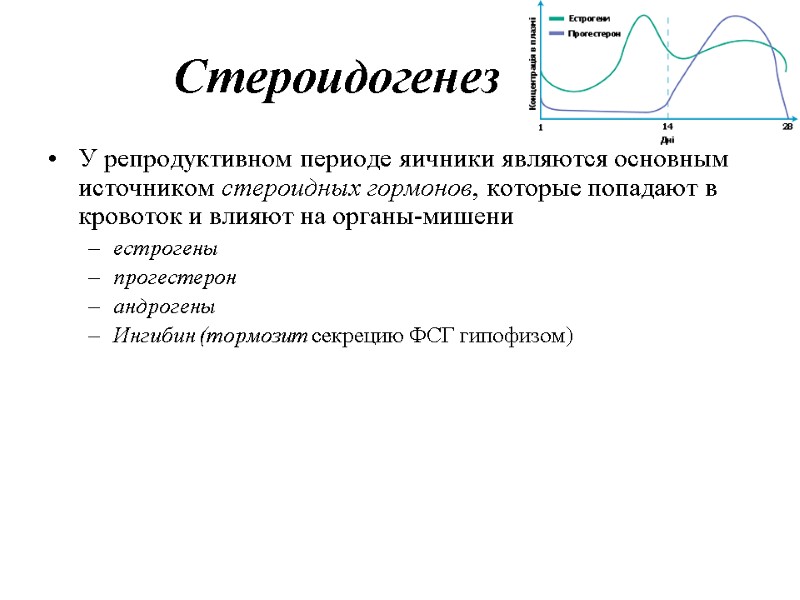 Стероидогенез У репродуктивном периоде яичники являются основным источником стероидных гормонов, которые попадают в кровоток Стероидогенез У репродуктивном периоде яичники являются основным источником стероидных гормонов, которые попадают в кровоток